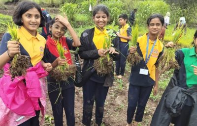 Trip on Traditional Paddy Plantation
